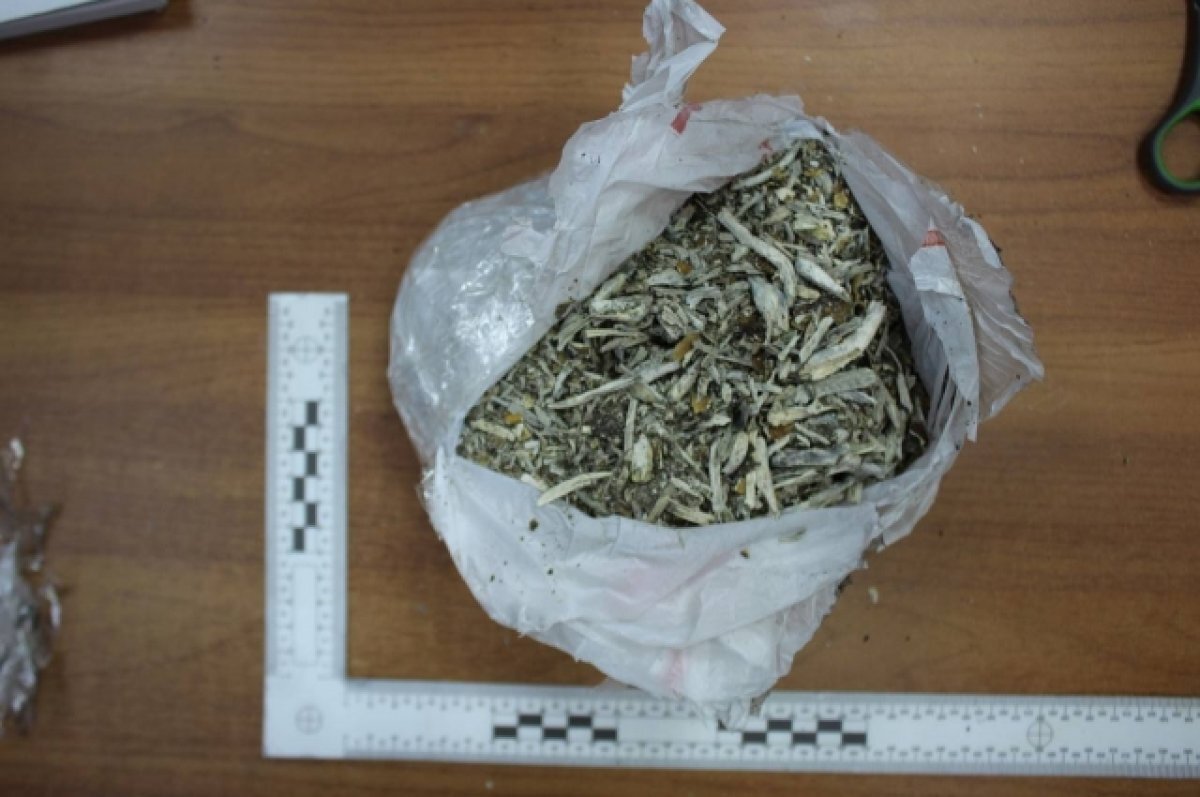    В Омске патрульные задержали мужчину с пакетом галлюциногенных грибов