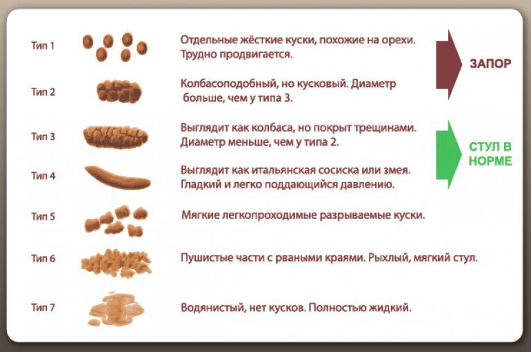 пища признак. здоровое питание школьника. пища признак.