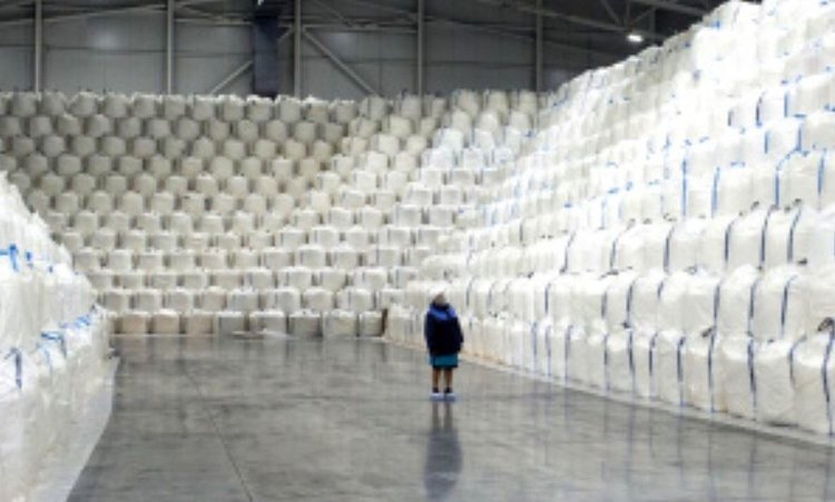    Сбор урожая сахарной свеклы 2023 года завершён в Липецкой области