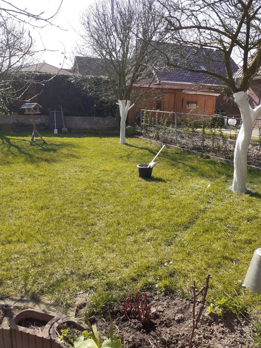 Весна в Германии