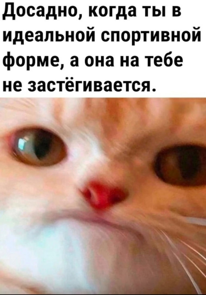 05 02 06 23 06. Sp883 komfort болгарка. Подвесное кресло afm-169a-lb beige. 05 02 06 23 06. 05 02 06 23 06.