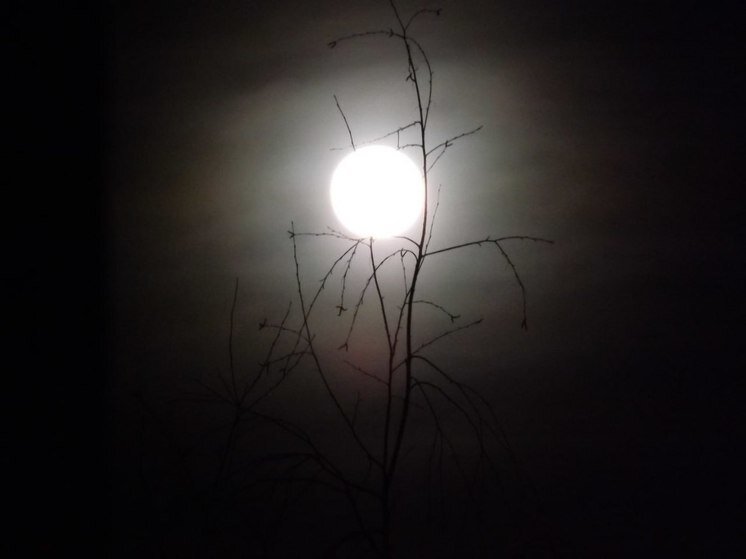     Раньше 29 марта завершался год, и крестьяне считали это время негативным. Фото: «МК в Питере»