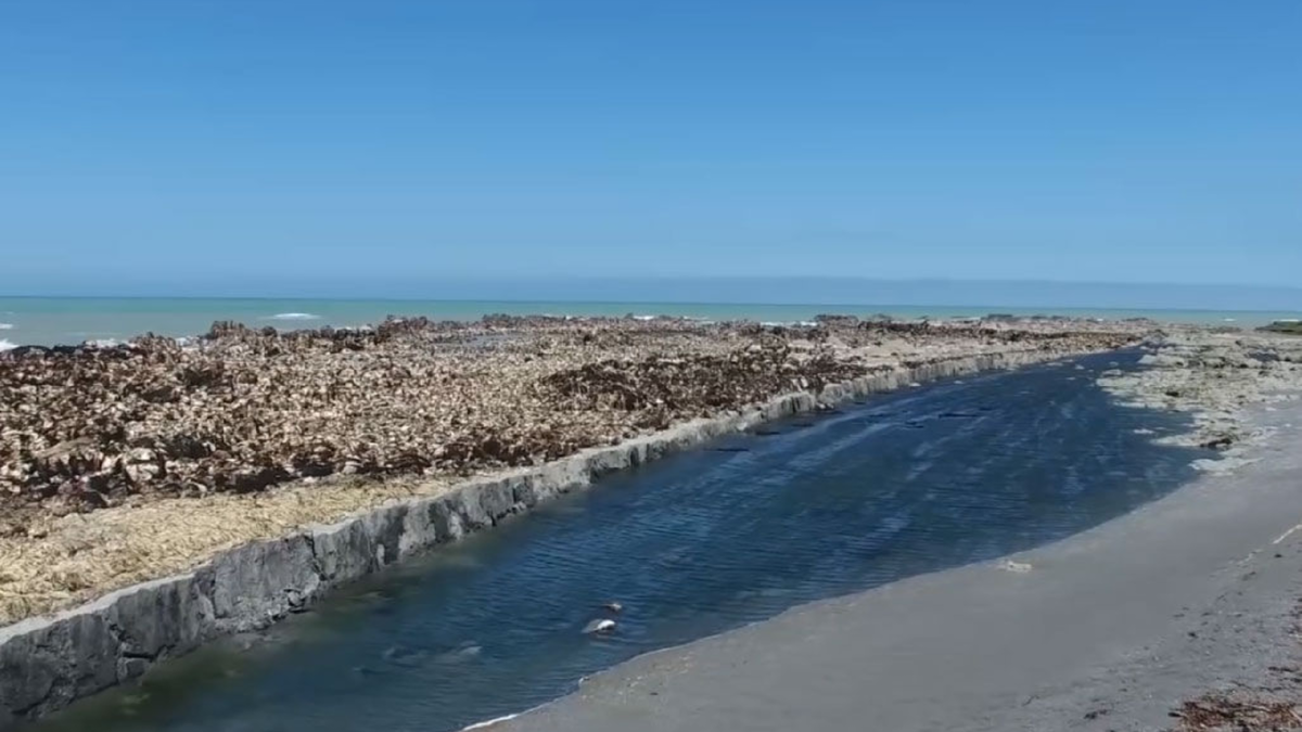 Самая глубокая бездна на суше: как выглядит Байкал без воды