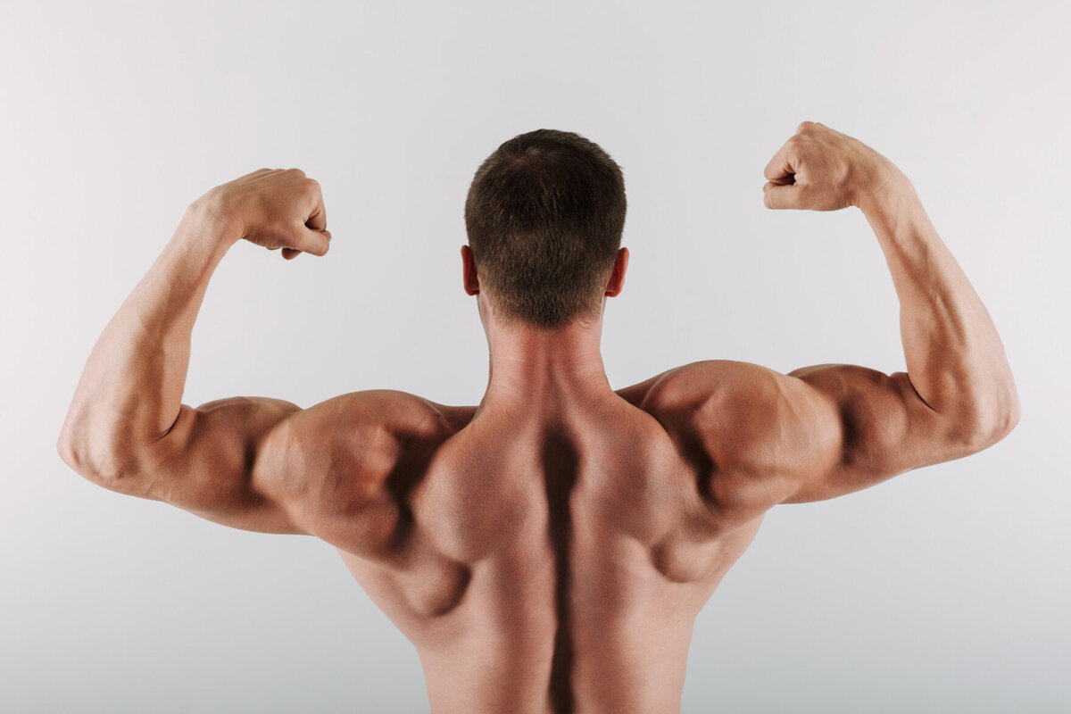    Как набрать мышечную массу: научный подход к идеальному телу