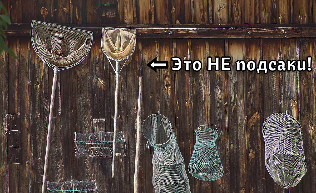 Не всё, что выглядит как подсак таковым является