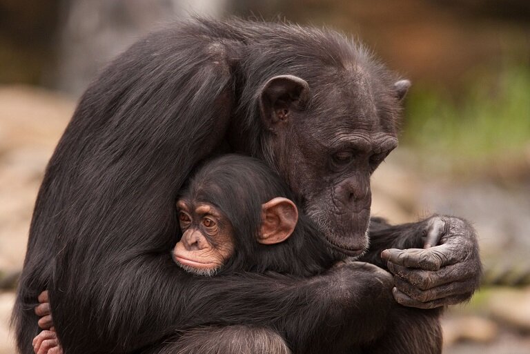 Фото из свободных источников