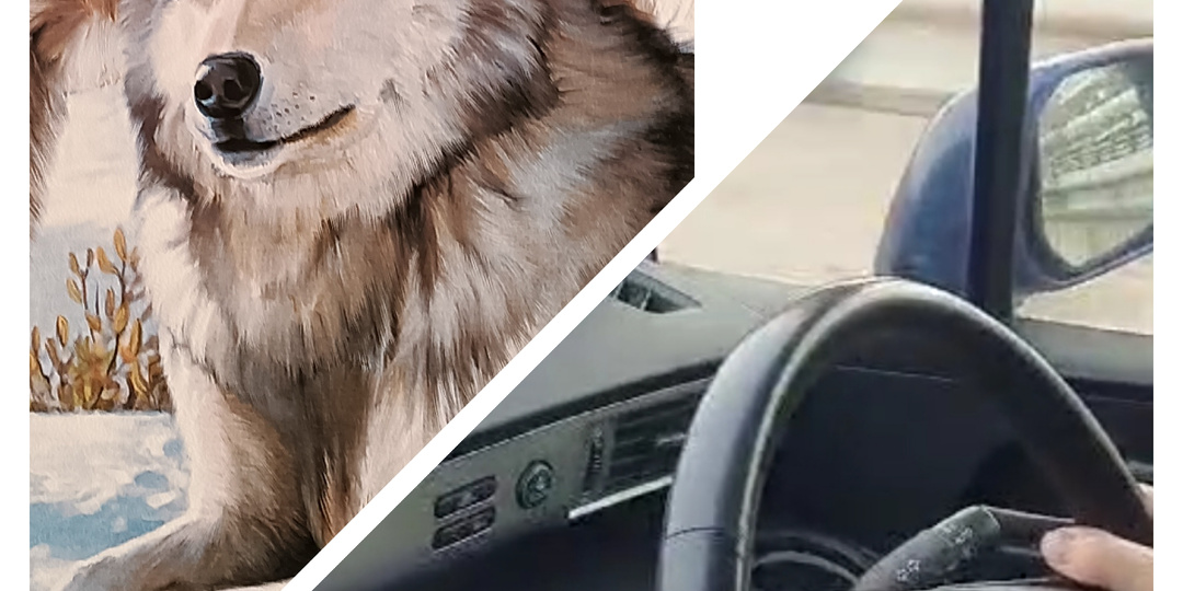 И как я на это решилась, ума не дам.