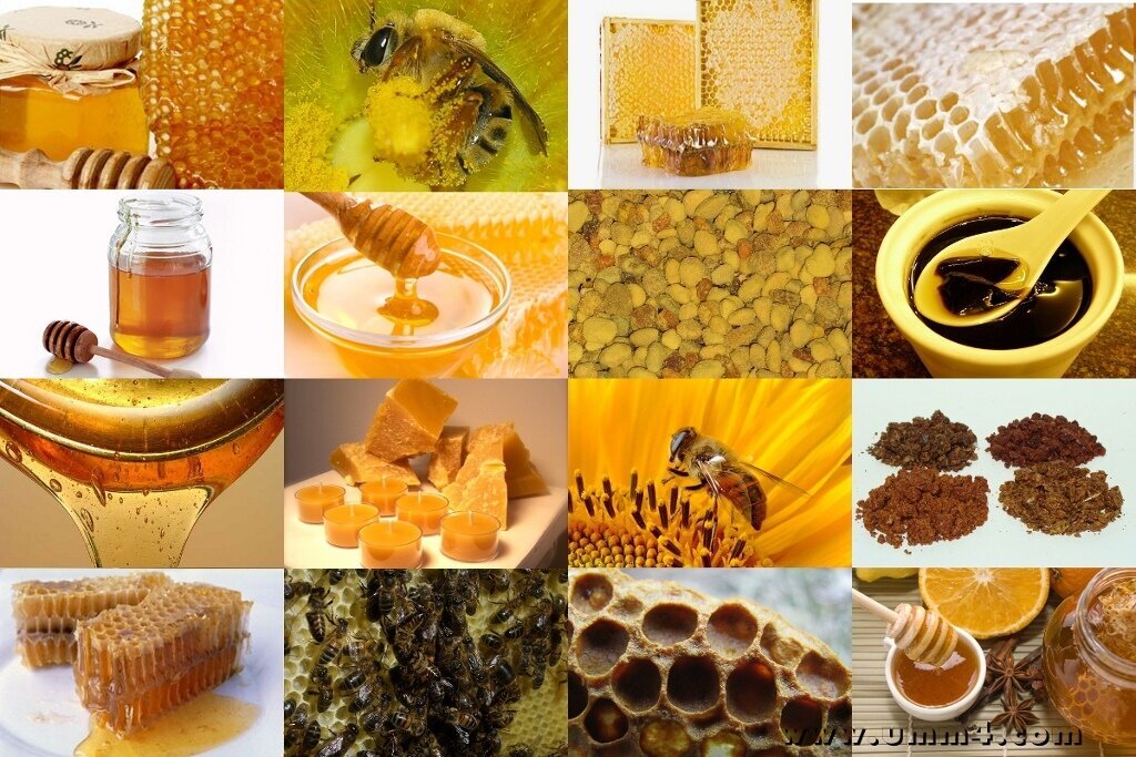  Улей – это безотходное производство, даже погибшая пчела может быть использована, как лекарство.