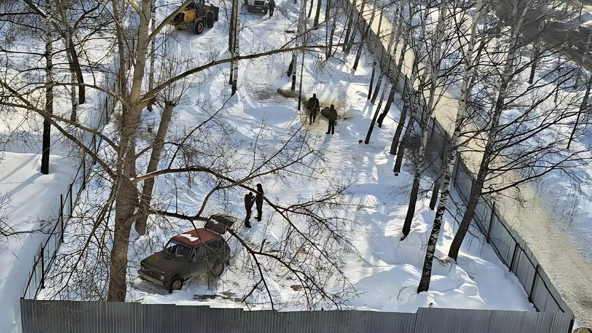     В сквере на улице Молодежной в Ижевске начали вырубать деревья. Теплая погода ожидается в республике на этой неделе. Очевидцы переживают за судьбу сбитого под Ижевском лося. Udm-info подводит информационные итоги дня, понедельника, 26 февраля.