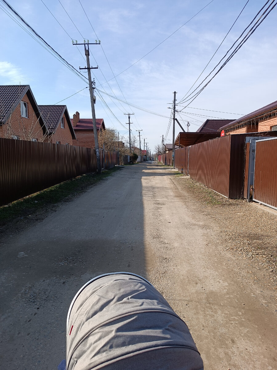 1. Всмотритесь в фото, сколько вы видите столбов стоящих не за забором?🤔 2. Задание со звёздочкой, найдите на фото чёрно-белую собаку, что она делает?🤣