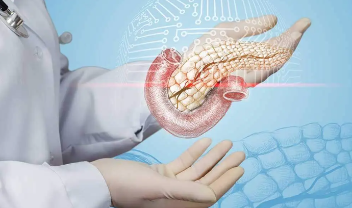 Поджелудочная железа вырабатывает инсулин, но его количество может стать недостаточным, если стимул простыми углеводами будет постоянным и длиться с течением времени.