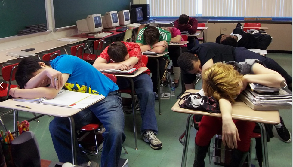 Лучше всего исторические знания на уроках истории усваиваются, как известно, … во сне. Эту методику преподавания истории считают «самой эффективной» очень многие учителя истории в РФ. Фото с сайта ro-dachnikov.com