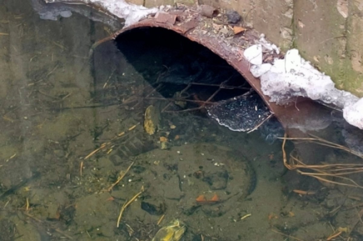    Дома шебекинцев заливает грунтовыми водами из-за забитой ливневки