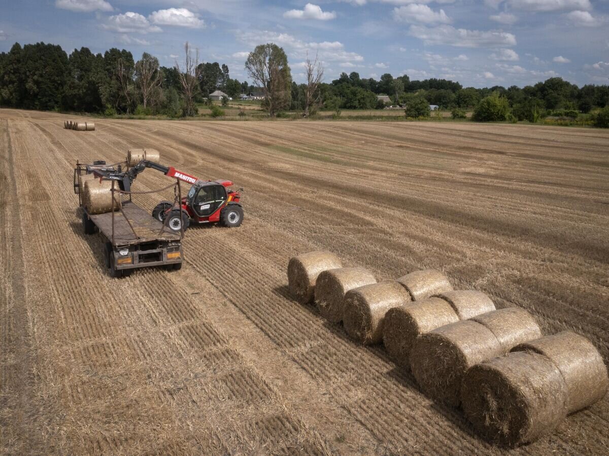    Трактор убирает на поле после сбора зерна в Журовке, Киевская область, Украина© AP Photo / Efrem Lukatsky
