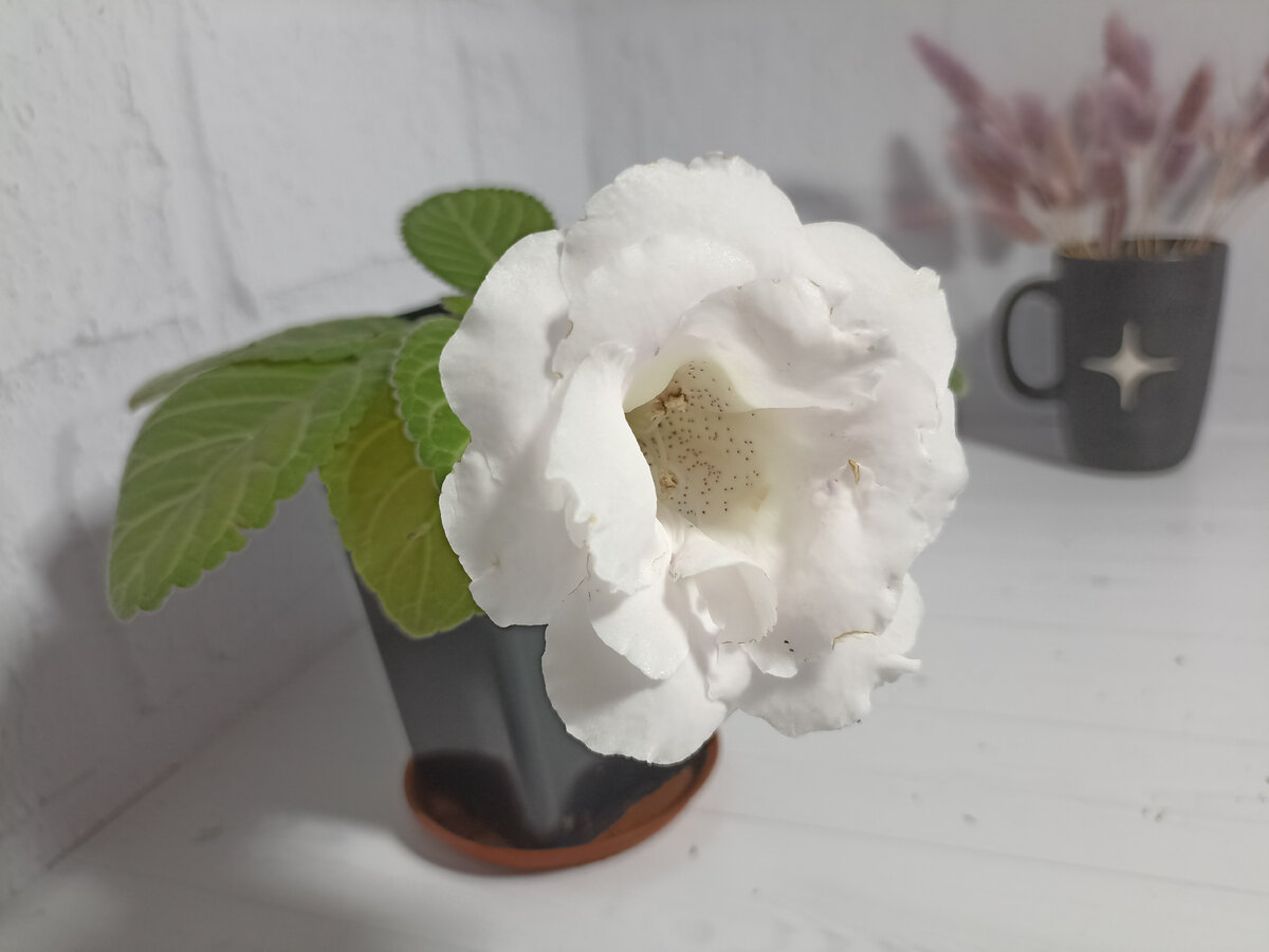 2011. Красивые открытки с днем красоты. Локомотив 7 сентября 2011. 9 сентября праздник. Мальчик 9 класс.