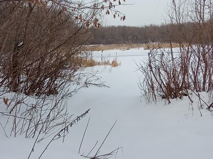 Фотография из личного архива автора