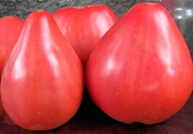 Рассаду томатов Тяжеловес Сибири - купить в Новосибирске, цена 20 руб., продано 