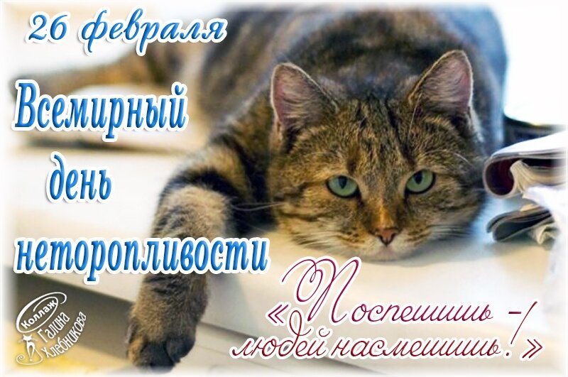 Открытые источники.