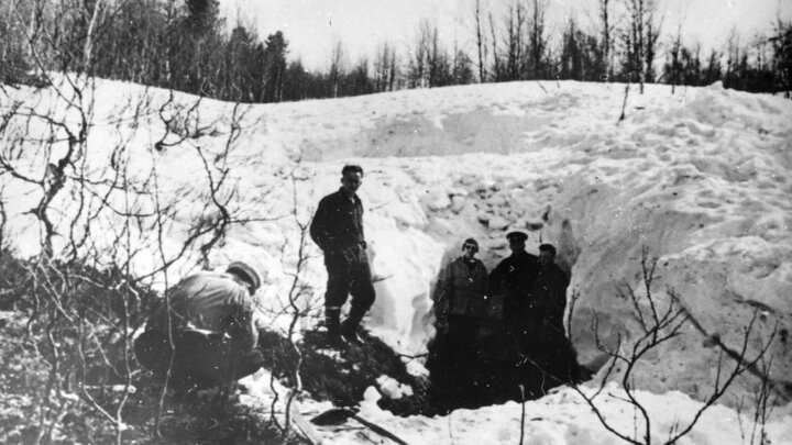 ФОТО: ФОТО ПРЕДОСТАВИЛ ЧИТАТЕЛЬ ЦАРЬГРАДА