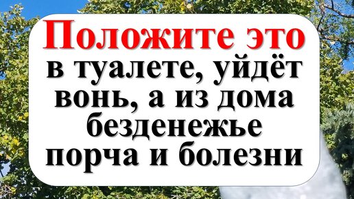 Челябинка не ночует дома из-за гостьи в туалете. ВИДЕО