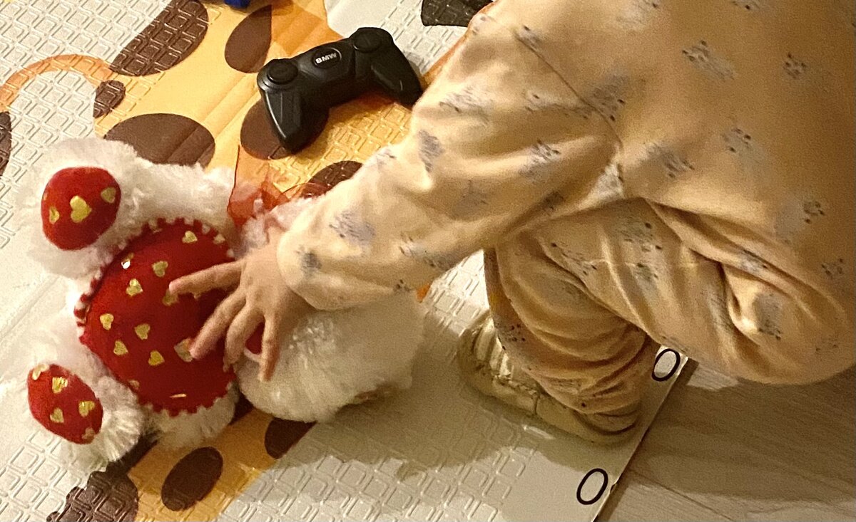 «Мой мишка!»