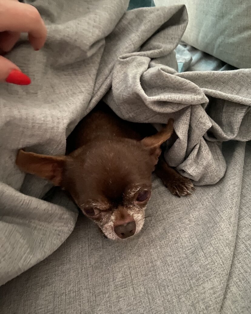 Моя любофффф