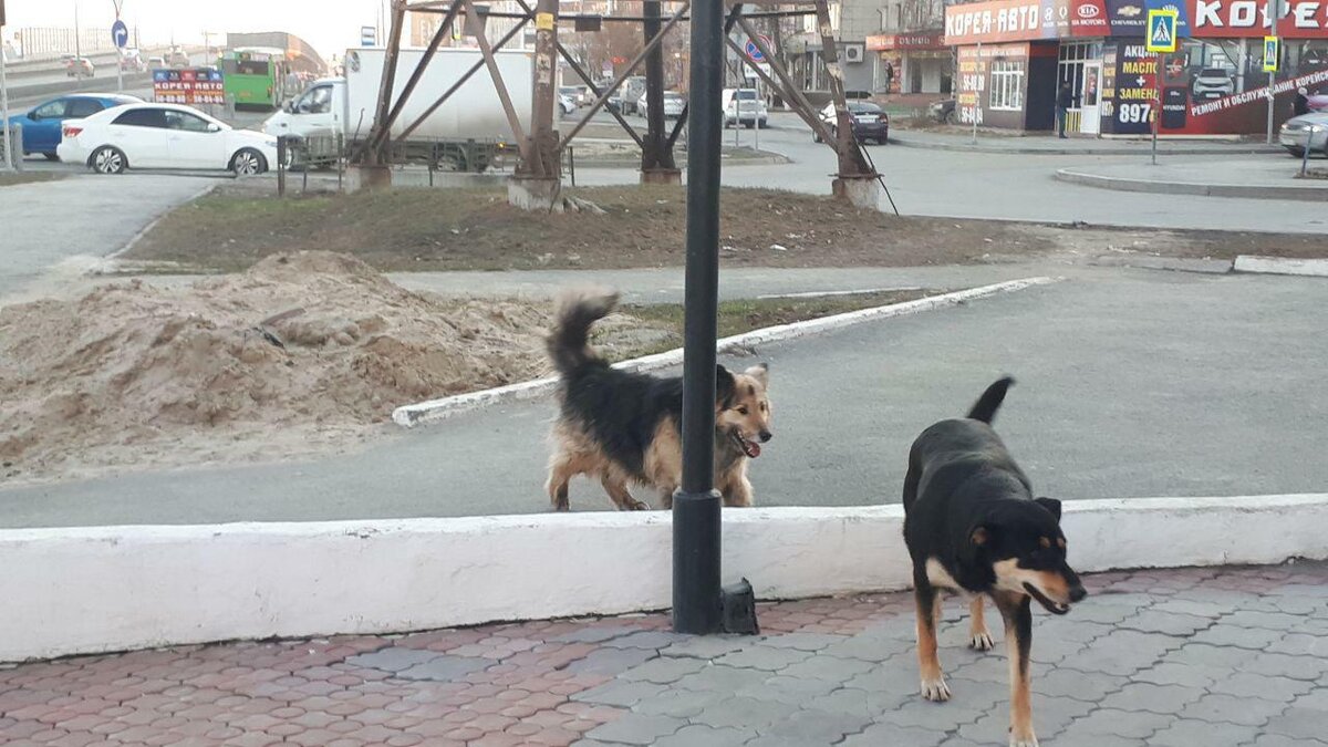     Ребенка пришлось госпитализировать.