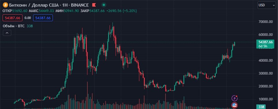 tradingview - курс Биткоина 26.02.2024