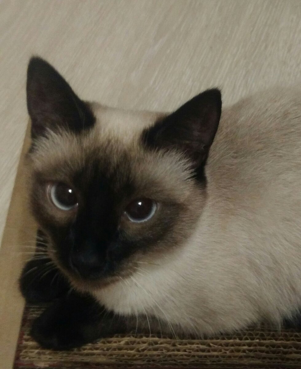 Это новая, фабричная.