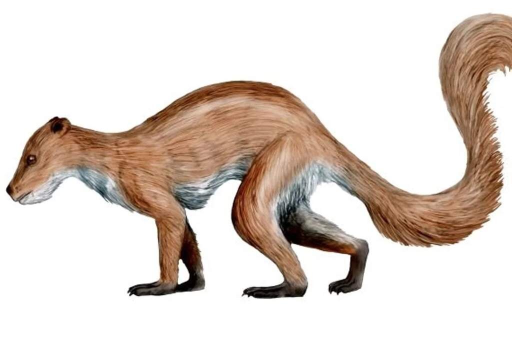 Они обитали на территории Европы и Америки почти 60 млн лет назад