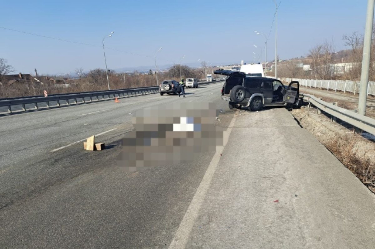    В массовом ДТП во Владивостоке погиб пешеход