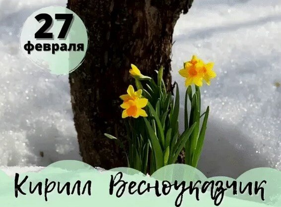 Фото из открытого источника