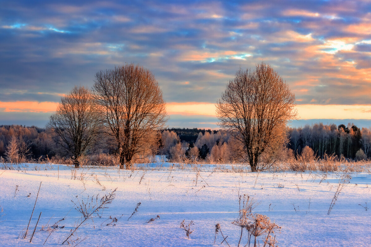 Февральский рассвет в заснеженном поле.