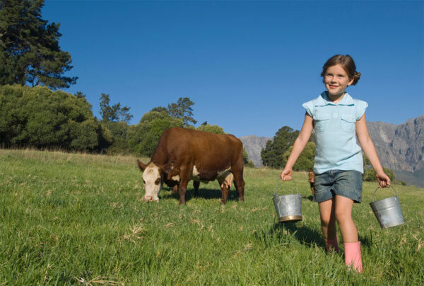 Девочка на лугу