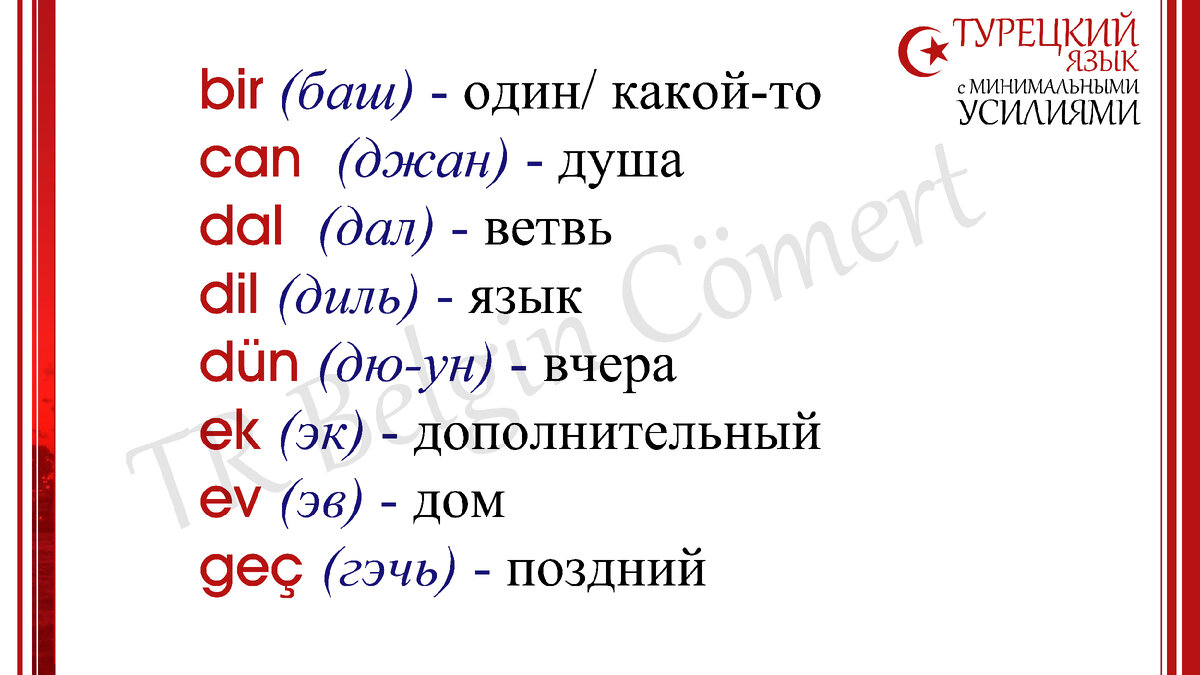 Турецкий язык. Как приобрести словарный запас... | TR Belgin Cömert | Дзен