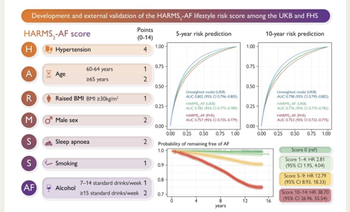 По материалам публикации в European Heart Journal https://academic.oup.com/eurheartj/article/44/36/3443/7205602?login=false