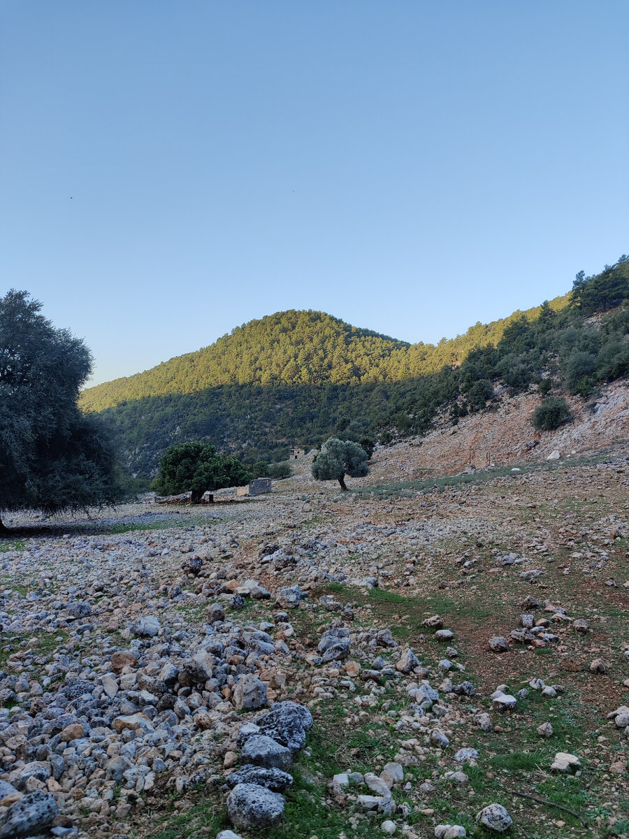 Дорога к Зейтину, посёлку с древними руинами. Концентрация курумника в пути пока что не сокращается. Традиционно, любимые зелёные горы на рассвете.