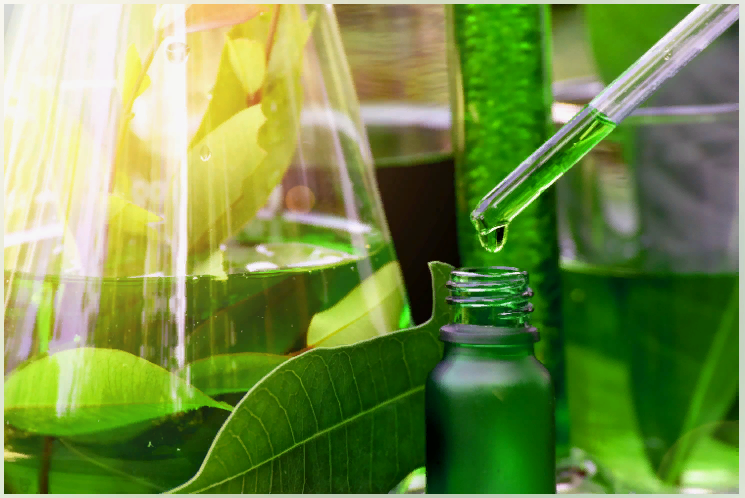 Яндекс.Картинки