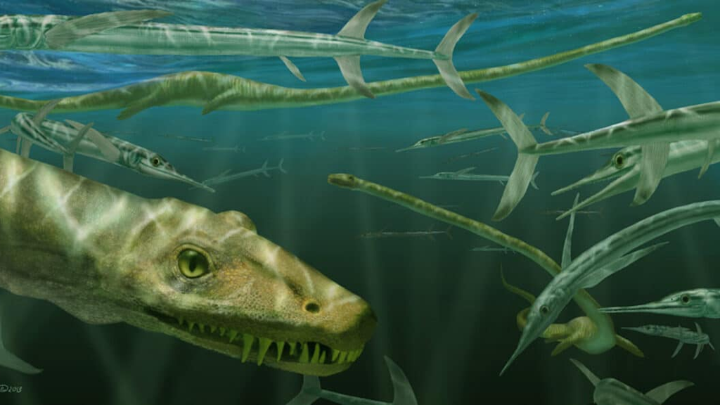 «Дракон» напоминал скорее плотно покушавшую змею с ножками.