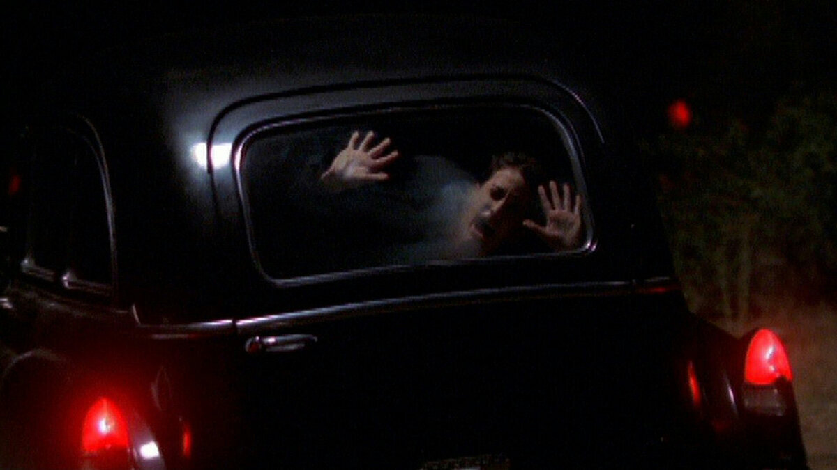 Изображение взято из открытых источников интернета. 