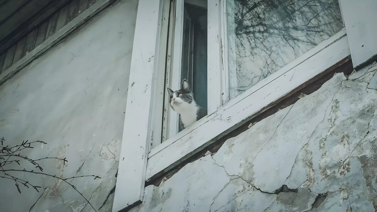     В Тюмени планируют снести дом №71 на Киевской. Здание было построено в 1959 году.