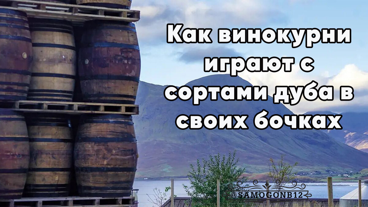Как винокурни играют с сортами дуба в своих бочках