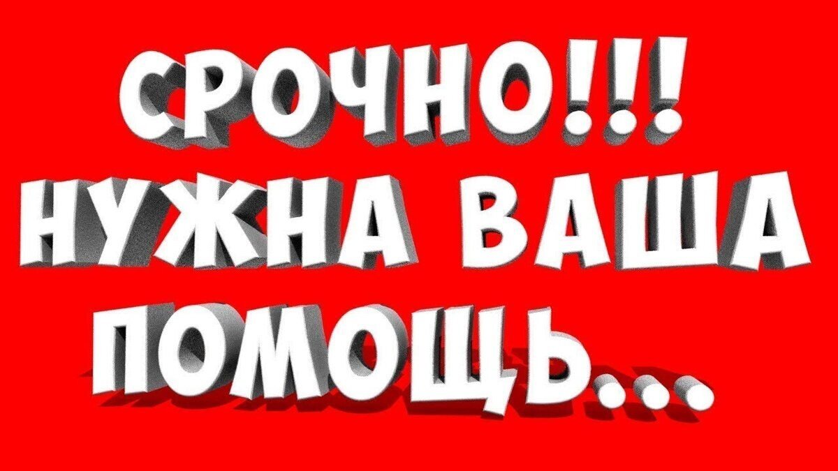 Срочно заранее. Срочно нужна ваша помощь. Нужна помощь. Нужна ваша помощь. Очень нужна ваша помощь.