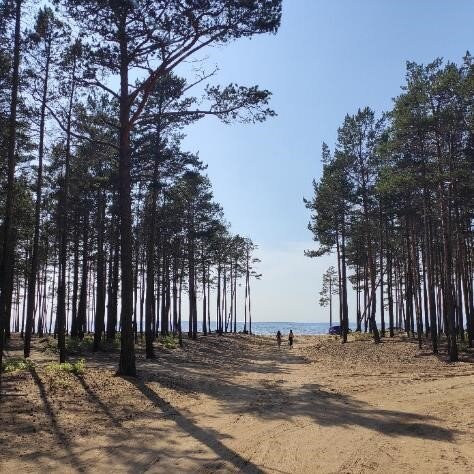    На берегу Байкала