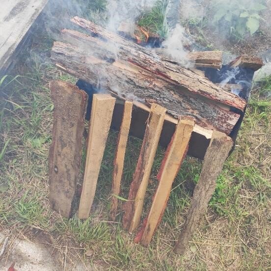    Сушка дров для розжига костра