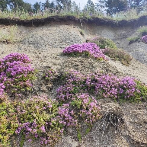    А это с правой