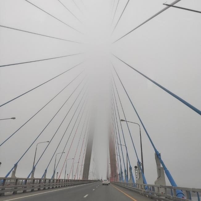    Мост на о. Русский в тумане, 10 июля 2021   
 года