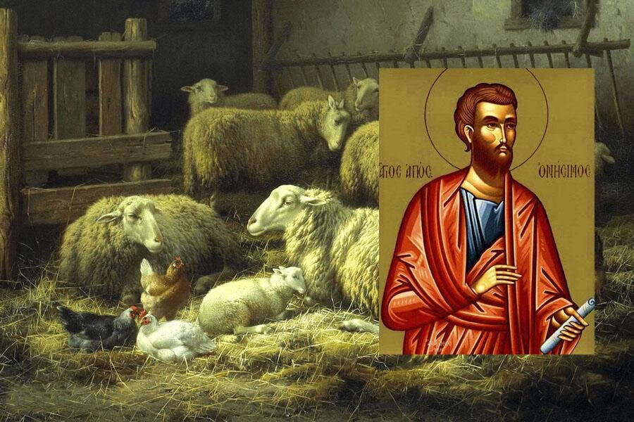 Источник: https://mir-znaniy.com/wp-content/uploads/2022/03/v7meduy3vb63nnyx0hov.jpg