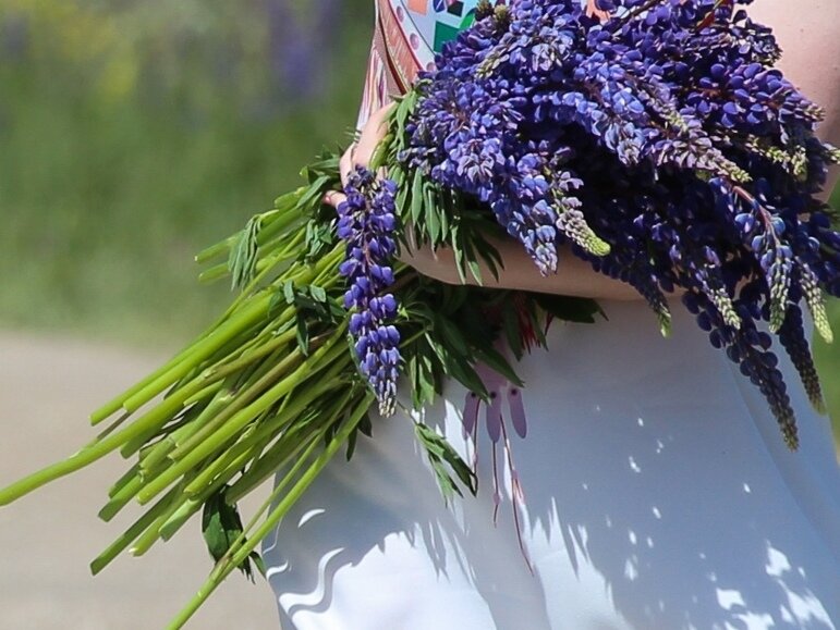 Личный архив