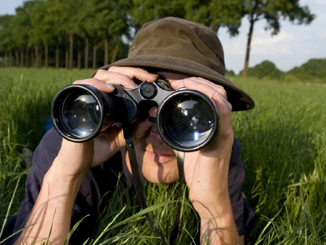 фото из интернета